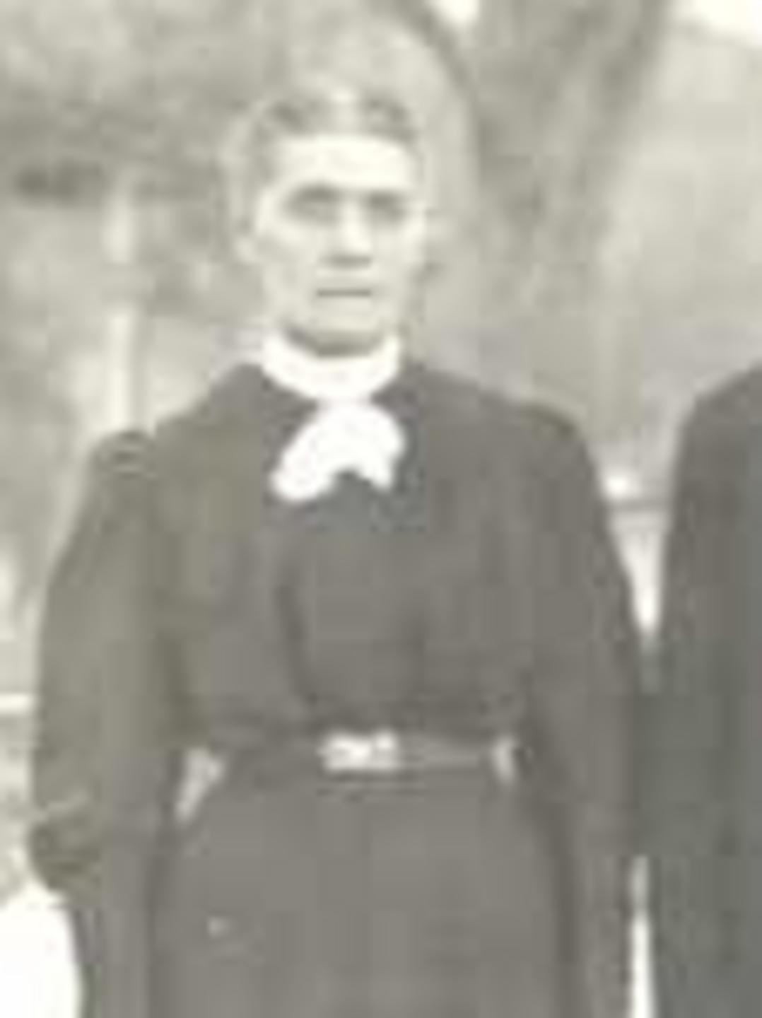 Sarah Frances Wilson (1848 - 1923) Profile